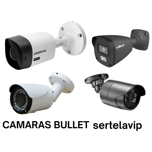 Cámara Bullet para Vigilancia Interior y Exterior